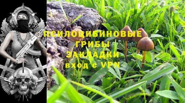 тгк Майский
