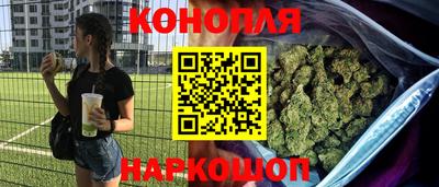 прущие грибы Новодвинск