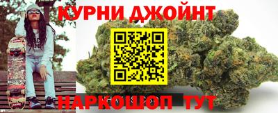прущие грибы Новодвинск