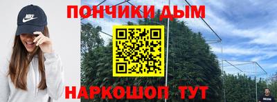 прущие грибы Новодвинск