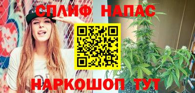 прущие грибы Новодвинск
