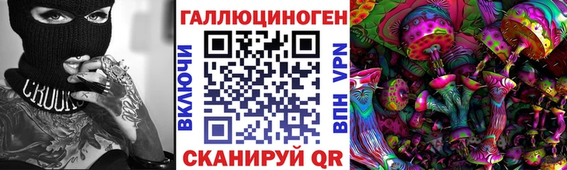 где продают наркотики  Химки  Галлюциногенные грибы прущие грибы 